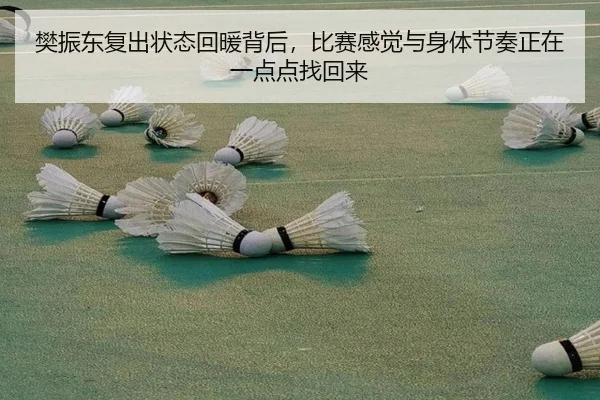 樊振东复出状态回暖背后，比赛感觉与身体节奏正在一点点找回来